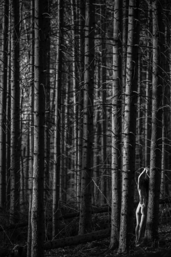 Fauna