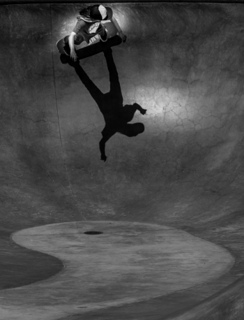 Venice Beach Skate Park