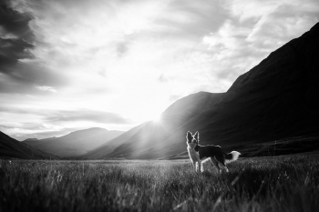 Mountain Adventures