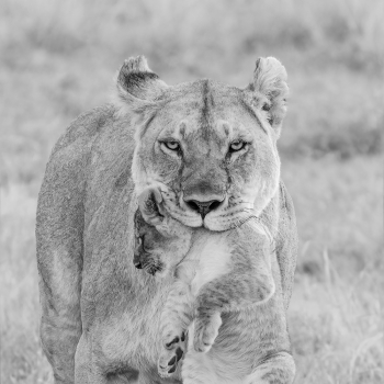 Heavy Load
