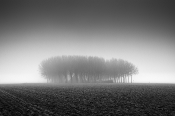 Mistery