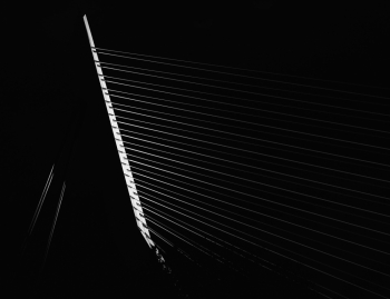 The harp