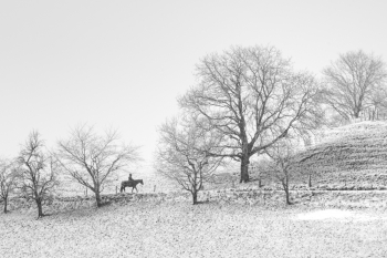 Rider in the snowstorm