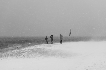 Winter walk