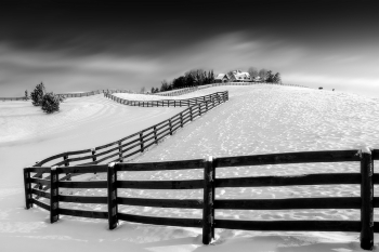 Horse Farms