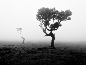 The Shape of Harsh Winds