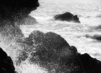 Sea Spray 