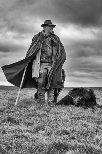 wandering shepherd