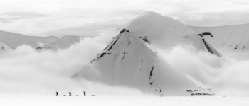 Svalbard White Ice