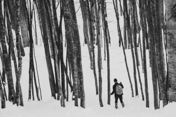In the embrace of nature
