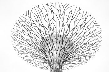 Singapore's tree