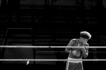 Cuba Boxers 