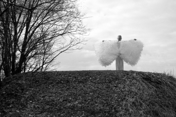 Fallen Angel