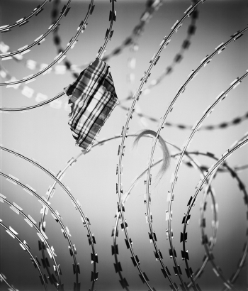 Razor Wire