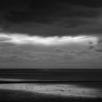 Between Light and Shadow
