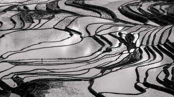 Terraced Field 