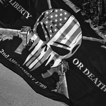 Perceived Realities: Guns for Peace?