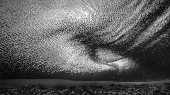 Inside the wave