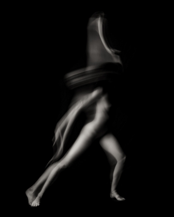 Fluid Bodies