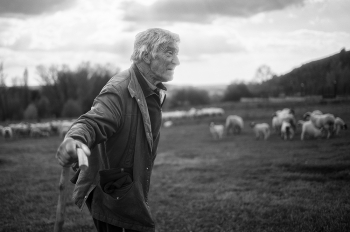 The last Shepherds.