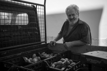 THE SELLER OF PRICKLY PEARS