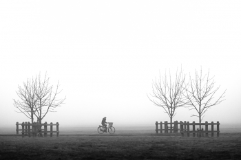 Cyclist in the Fog