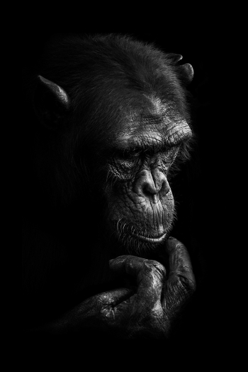 BEYOND DARKNESS