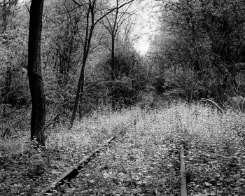 Vlodrop-Station