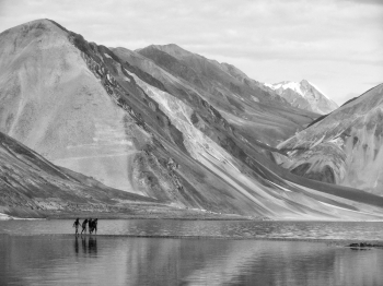 Pangong Lake
