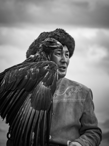 Eagle's Eye