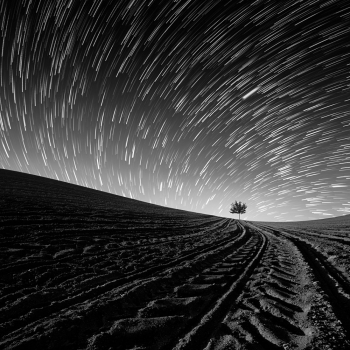Tracks