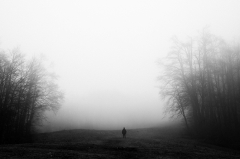 We move in stillness