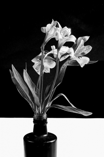 Back Bottle Vase