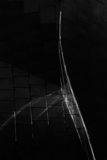 Walt Disney Concert Hall - Los Angeles