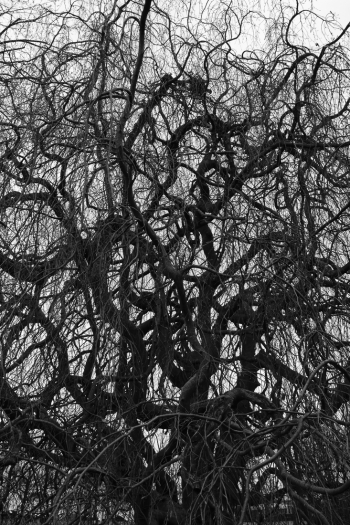 untitled 21