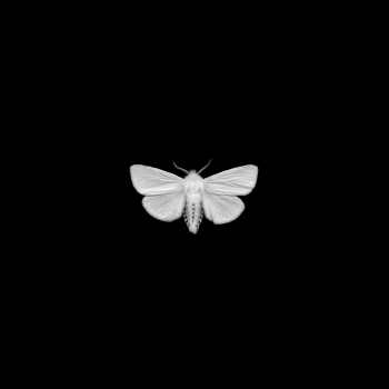Geist