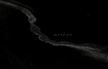 Birds-eye View 