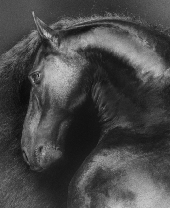 Beautiful Black