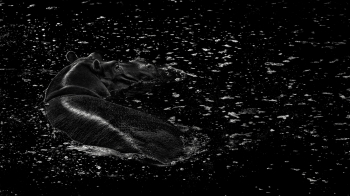 Lucy in the Pool with Diamonds