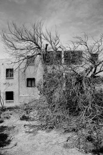 abandoned