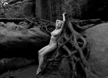FEMALE TREE