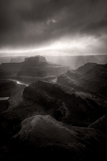 Desert Showers