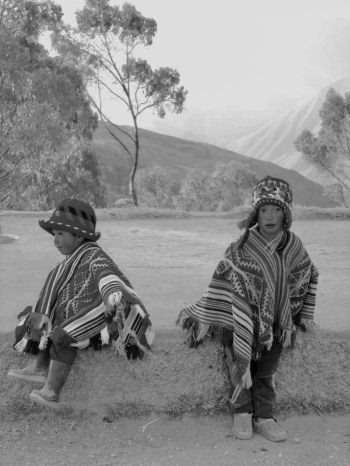 Peruvian Roadside