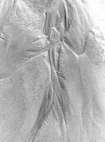 Sandpaintings