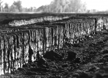Death of peatlands