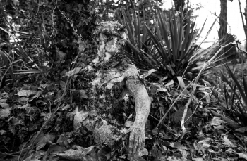 Foliage Man