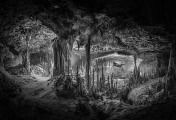Flooded Chamber