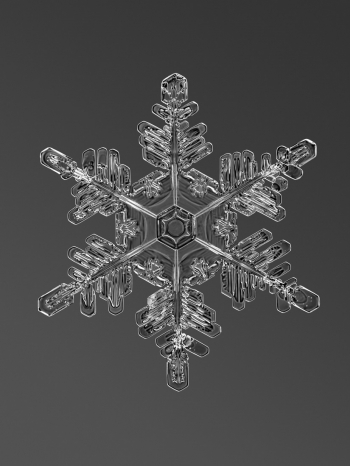 Silver Snowflake