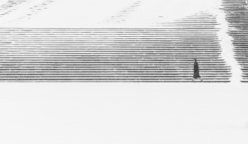 Snowy Steps