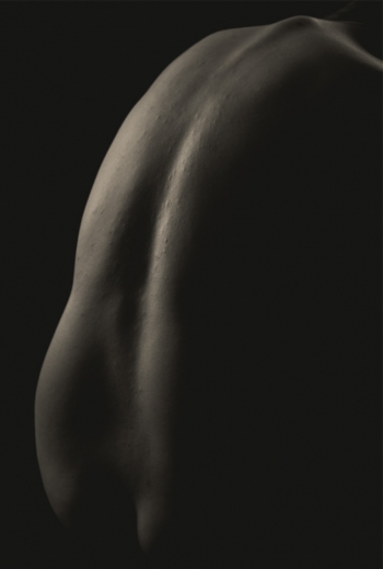 Observing the Body 
